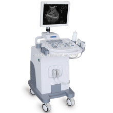 DW-370 2017 Neue Design medizinische Ausrüstung Ultraschallgerät